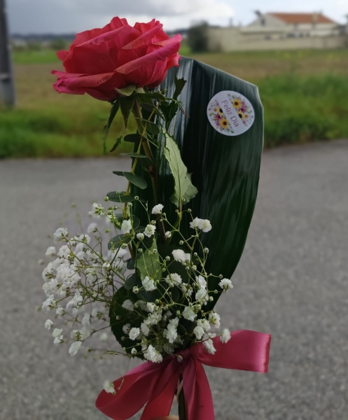 DIA DA MULHER; FEMINISMO